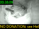 00:38:09