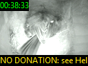 00:38:33