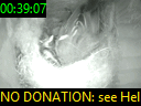 00:39:07