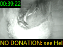 00:39:22