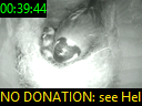 00:39:44