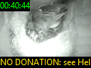 00:40:44