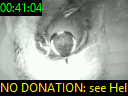 00:41:04