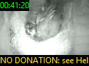 00:41:20