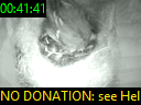 00:41:41