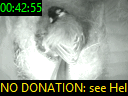 00:42:55
