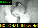 00:46:20