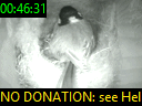 00:46:31