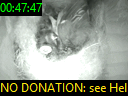 00:47:47