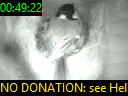 00:49:22