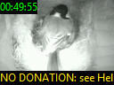 00:49:55