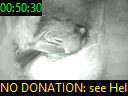 00:50:30