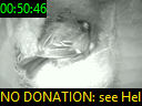 00:50:46