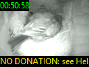 00:50:58