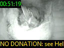 00:51:19
