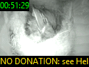 00:51:29