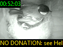 00:52:03