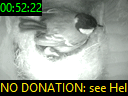 00:52:22