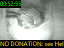 00:52:55