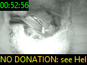00:52:56