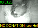 00:53:23