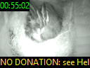 00:55:02