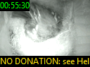 00:55:30