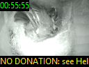 00:55:55