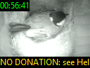 00:56:41