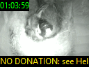 01:03:59