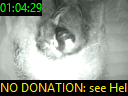 01:04:29