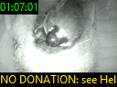 01:07:01
