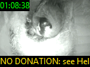 01:08:38