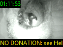 01:11:53