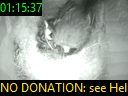 01:15:37