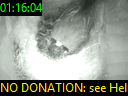 01:16:04
