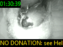 01:30:39