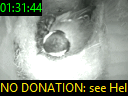 01:31:44