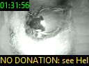 01:31:56