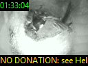 01:33:04