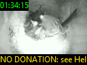 01:34:15