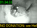 01:34:33