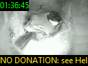 01:36:45