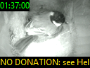 01:37:00