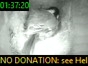01:37:20