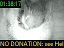 01:38:17