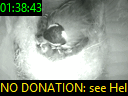 01:38:43