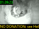 01:39:23