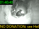 01:40:40