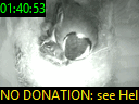 01:40:53